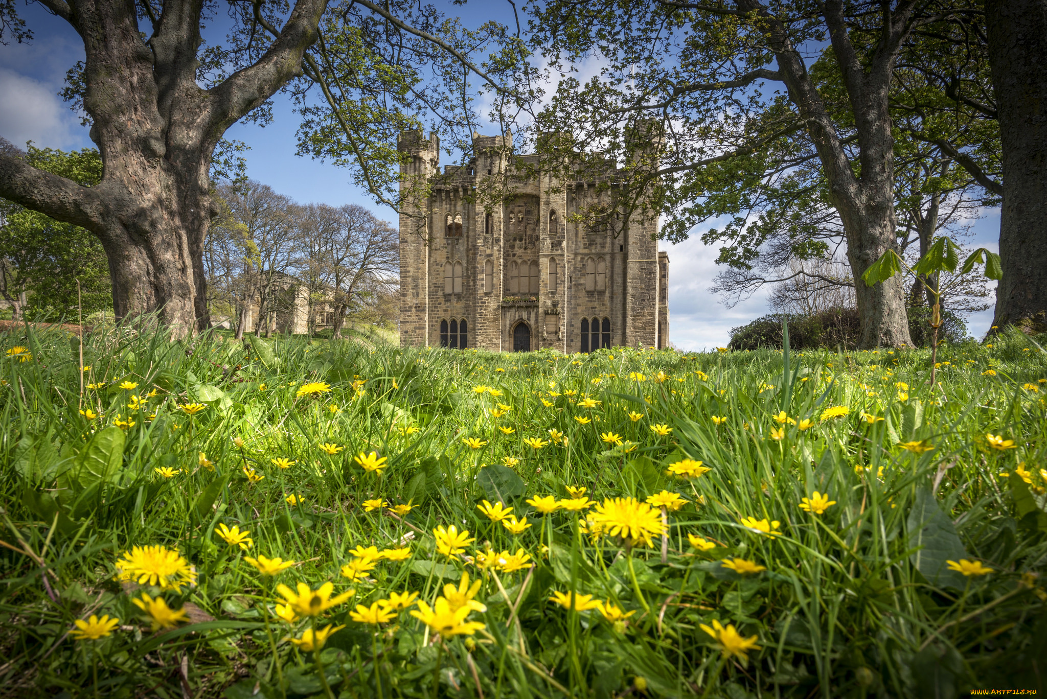 hylton castle,  sunderland, ,  , , 